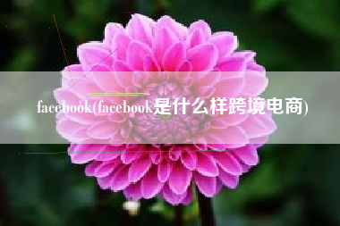 facebook(facebook是什么样跨境电商)