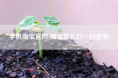 手机淘宝官网(淘宝怎么扫一扫登录)