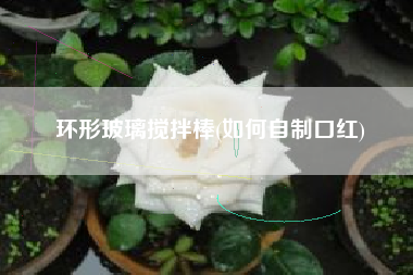 环形玻璃搅拌棒(如何自制口红)
