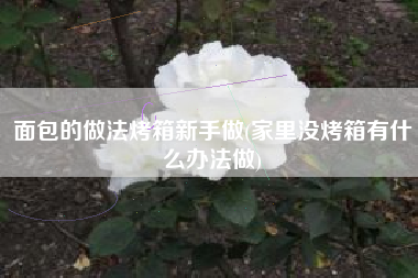 面包的做法烤箱新手做(家里没烤箱有什么办法做)