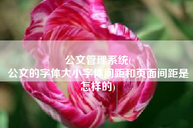 公文管理系统(
公文的字体大小字体间距和页面间距是怎样的) 公文管理系统(
公文的字体大小字体间距和页面间距是怎样的)