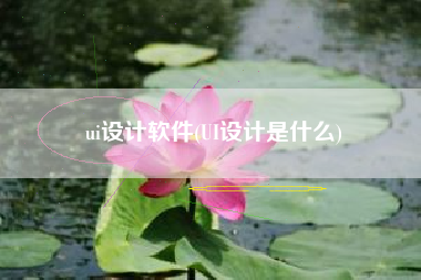 ui设计软件(UI设计是什么)