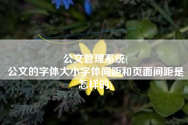 公文管理系统(
公文的字体大小字体间距和页面间距是怎样的) 公文管理系统(
公文的字体大小字体间距和页面间距是怎样的)