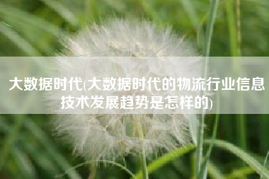 大数据时代(大数据时代的物流行业信息技术发展趋势是怎样的)