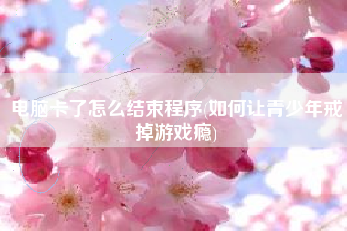 电脑卡了怎么结束程序(如何让青少年戒掉游戏瘾)