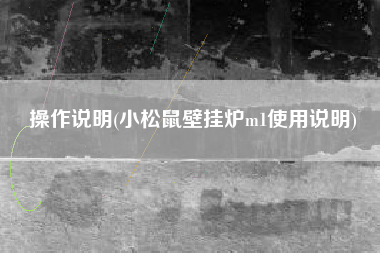 操作说明(小松鼠壁挂炉m1使用说明)