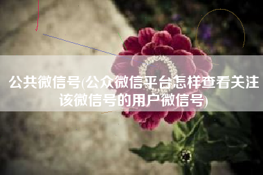 详细阅读:公共微信号(公众微信平台怎样查看关注该微信号的用户微信号) 公共微信号(公众微信平台怎样查看关注该微信号的用户微信号)