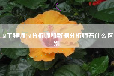 bi工程师(bi分析师和数据分析师有什么区别)
