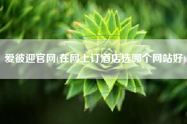 爱彼迎官网(在网上订酒店选哪个网站好)