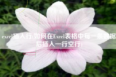 excel插入行(如何在Excel表格中每一条数据后插入一行空行)