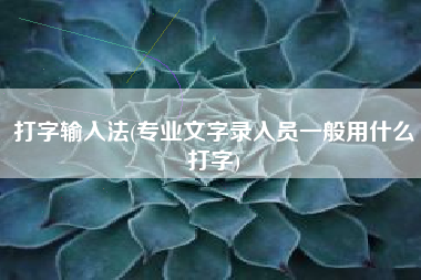 打字输入法(专业文字录入员一般用什么打字)