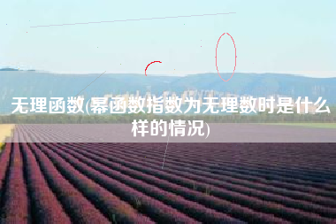 无理函数(幂函数指数为无理数时是什么样的情况)