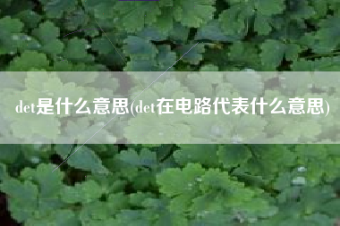 det是什么意思(det在电路代表什么意思)