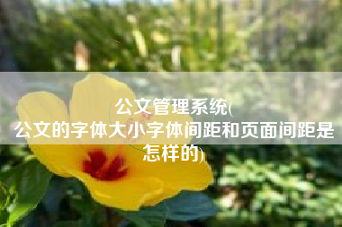公文管理系统(
公文的字体大小字体间距和页面间距是怎样的) 公文管理系统(
公文的字体大小字体间距和页面间距是怎样的)