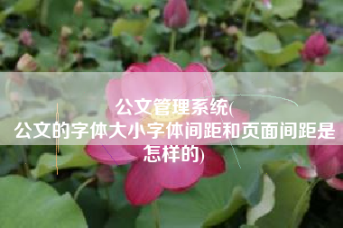 公文管理系统(
公文的字体大小字体间距和页面间距是怎样的) 公文管理系统(
公文的字体大小字体间距和页面间距是怎样的)