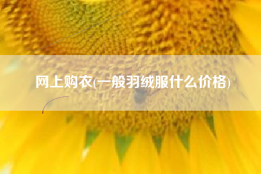 网上购衣(一般羽绒服什么价格)