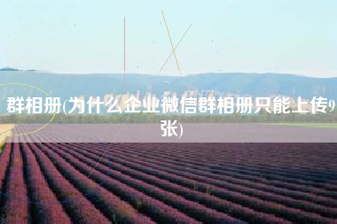 群相册(为什么企业微信群相册只能上传9张)