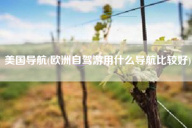 美国导航(欧洲自驾游用什么导航比较好)
