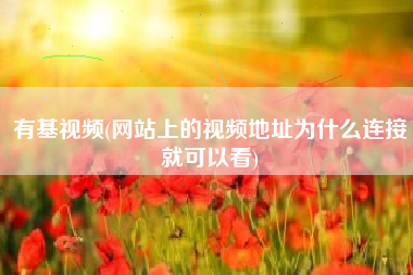 有基视频(网站上的视频地址为什么连接就可以看)