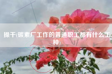 操干(碳素厂工作的普通职工都有什么工种)