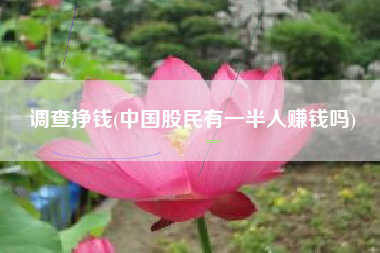 调查挣钱(中国股民有一半人赚钱吗)