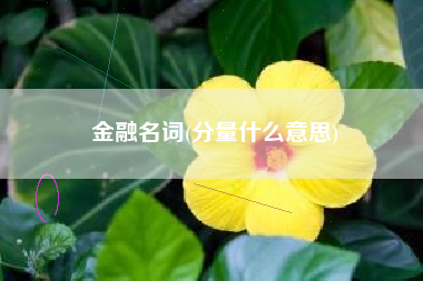 金融名词(分量什么意思)