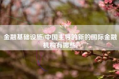 金融基础设施(中国主导的新的国际金融机构有哪些)