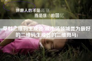 草料二维码生成器(被市场领域誉为最好的二维码生成器的二维斑马)