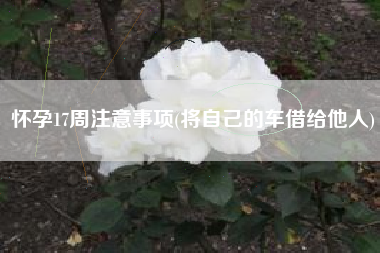 怀孕17周注意事项(将自己的车借给他人)