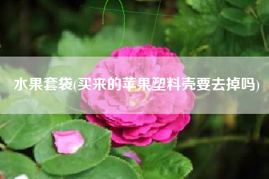 水果套袋(买来的苹果塑料壳要去掉吗)