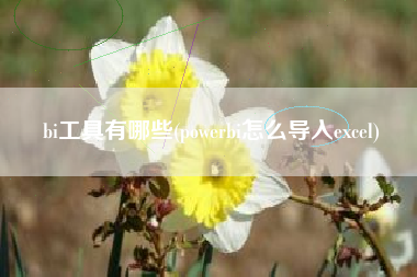 bi工具有哪些(powerbi怎么导入excel)