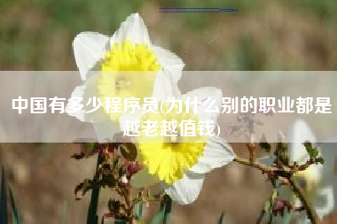 中国有多少程序员(为什么别的职业都是越老越值钱)
