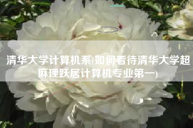清华大学计算机系(如何看待清华大学超麻理跃居计算机专业第一)