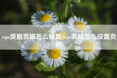 wps页眉页脚怎么设置(wps表格怎么设置页码)
