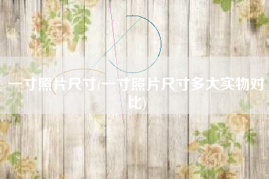 一寸照片尺寸(一寸照片尺寸多大实物对比)