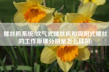 螺丝机系统(吹气式螺丝机和吸附式螺丝的工作原理分别是怎么样的)