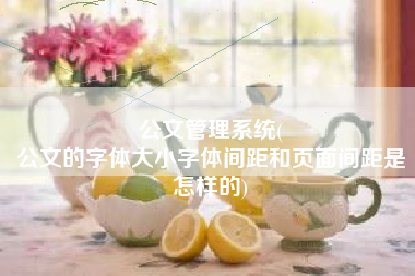 公文管理系统(
公文的字体大小字体间距和页面间距是怎样的) 公文管理系统(
公文的字体大小字体间距和页面间距是怎样的)