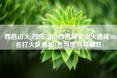 西昌山火(四川凉山西昌突发山火造成18名打火队员和1名当地向导牺牲)