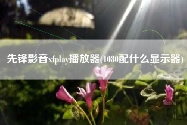 先锋影音xfplay播放器(1080配什么显示器)