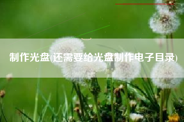 制作光盘(还需要给光盘制作电子目录)