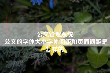 公文管理系统(
公文的字体大小字体间距和页面间距是怎样的) 公文管理系统(
公文的字体大小字体间距和页面间距是怎样的)