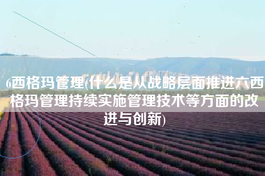 6西格玛管理(什么是从战略层面推进六西格玛管理持续实施管理技术等方面的改进与创新)