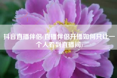 抖音直播伴侣(直播伴侣开播如何只让一个人看到直播间)