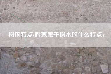 树的特点(耐寒属于树木的什么特点)