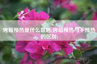 烤箱预热是什么意思(烤箱预热与不预热的区别)