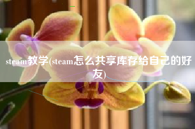 steam教学(steam怎么共享库存给自己的好友)