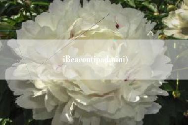 iBeacon(ipadmini)