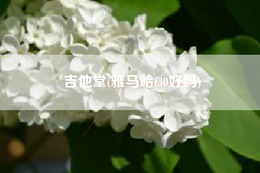 吉他堂(雅马哈f30好吗)