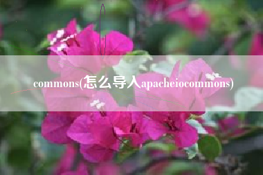 commons(怎么导入apacheiocommons)