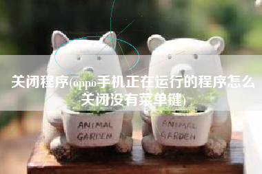 关闭程序(oppo手机正在运行的程序怎么关闭没有菜单键)